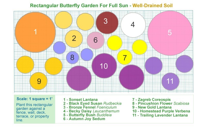 Free Erfly Garden Designs Free Erfly Garden Designs